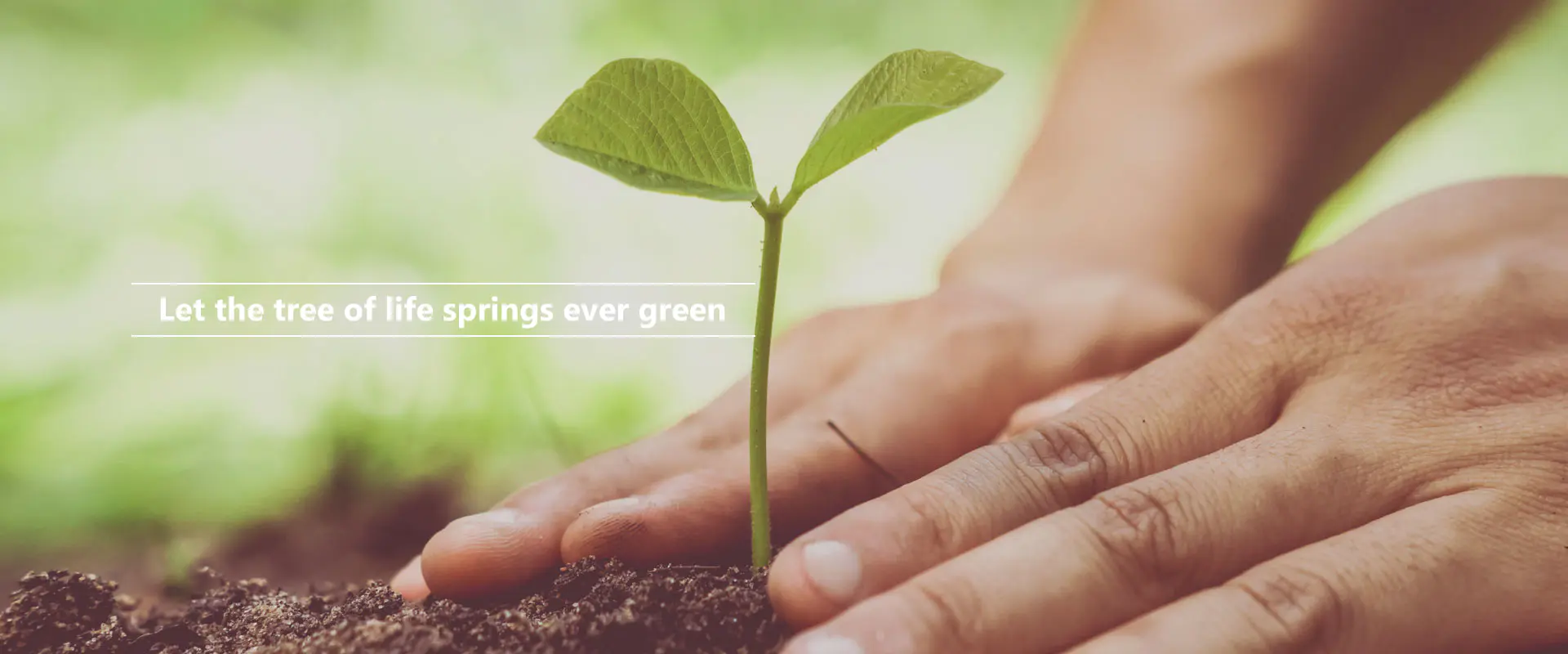 जीवनको रुख सधैं हरियो रहोस्